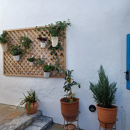 Vicky's Appart hôtel 3*