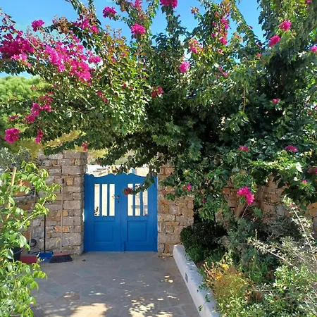 Appart hôtel Vicky's Ormos Aigialis